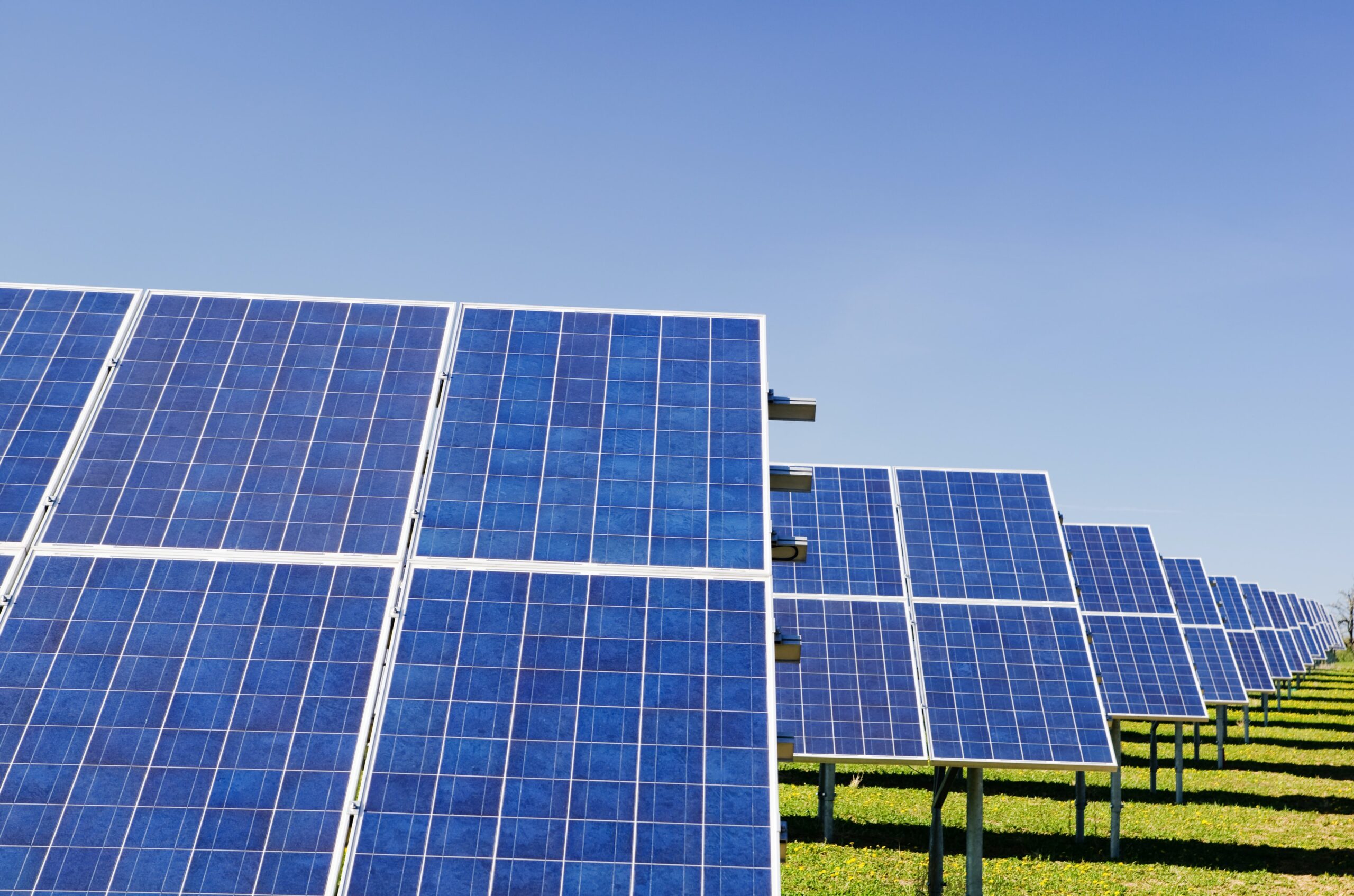 Gestão ESG de fornecedores: como proteger sua marca