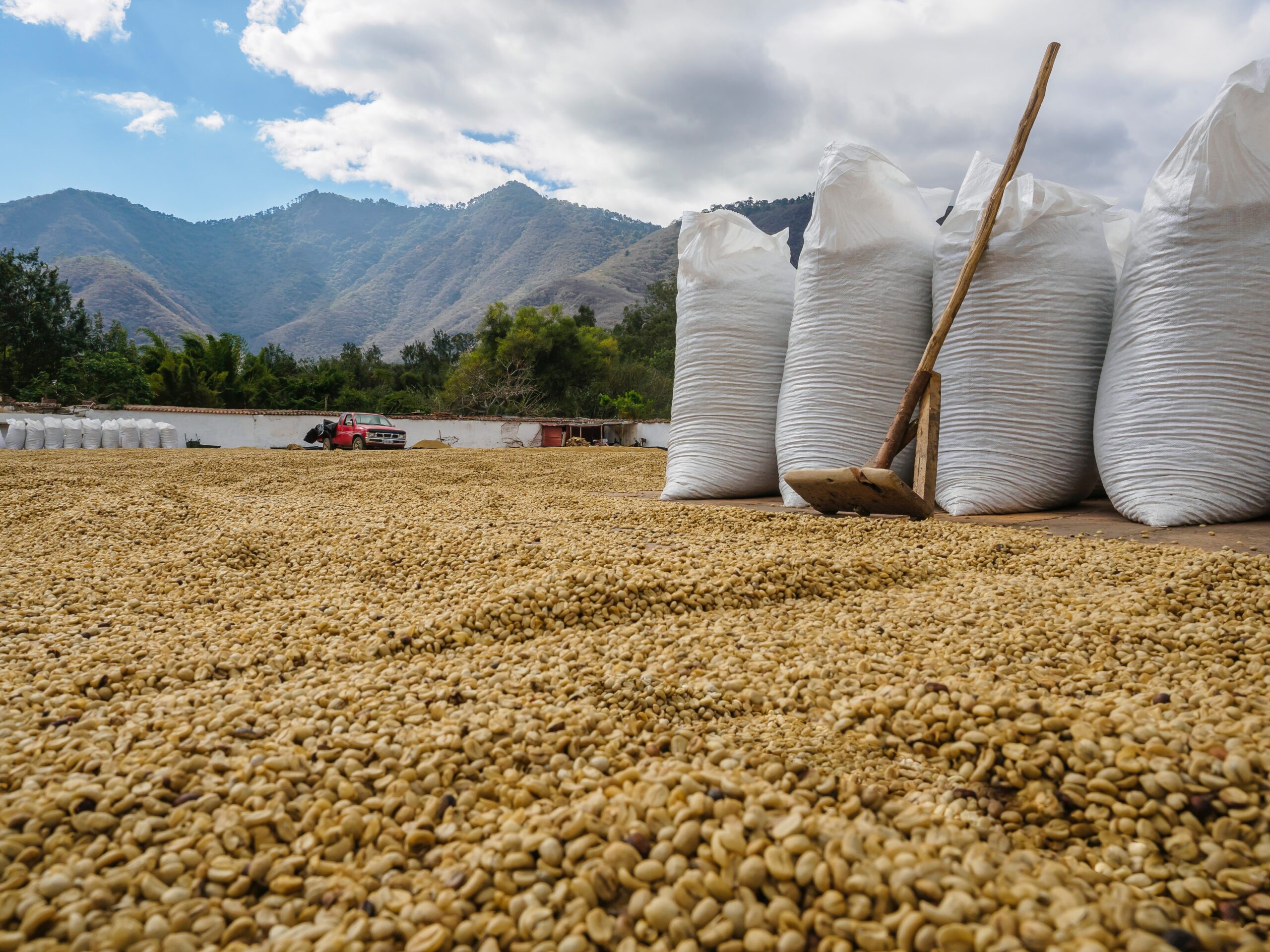 La revolución de las materias primas y qué esperar tras el boom